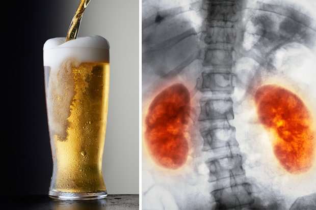 What beer does to your body is revealed in shocking ...