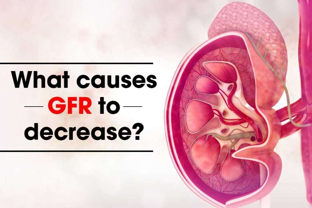 What causes GFR to decrease?
