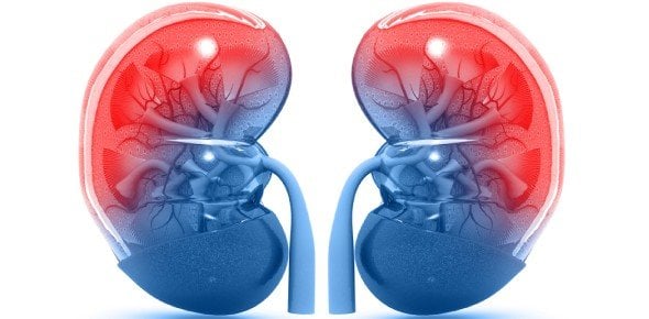 What happens if your kidneys fail?