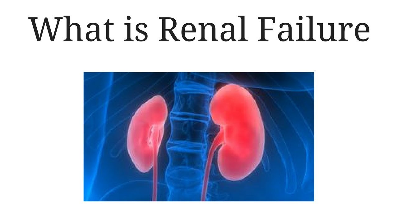 what is renal failure / Symptoms of kidney failure ...