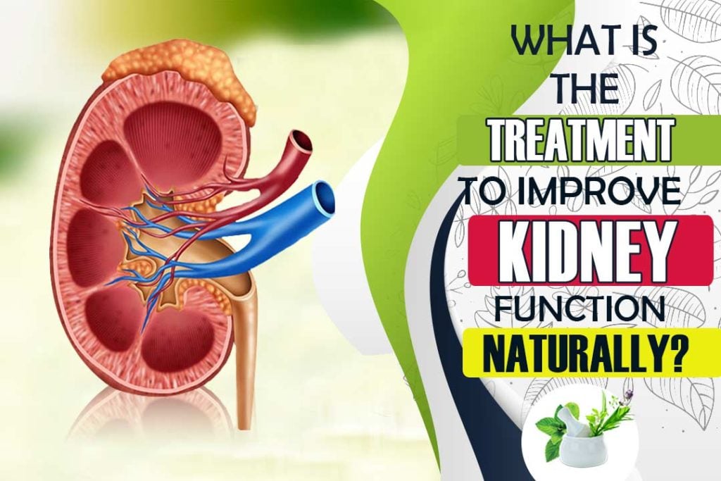 What Is The Treatment To Improve Kidney Function Naturally?