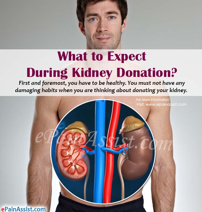 What to Expect During Kidney Donation?