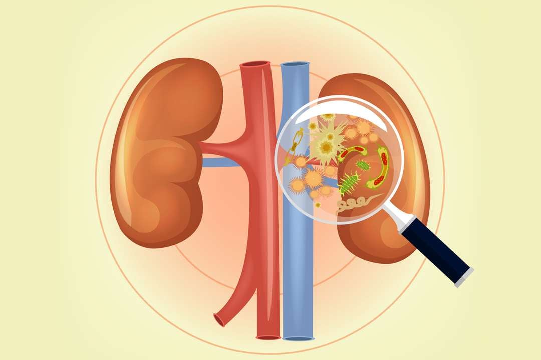 What will happen if my one kidney fails?