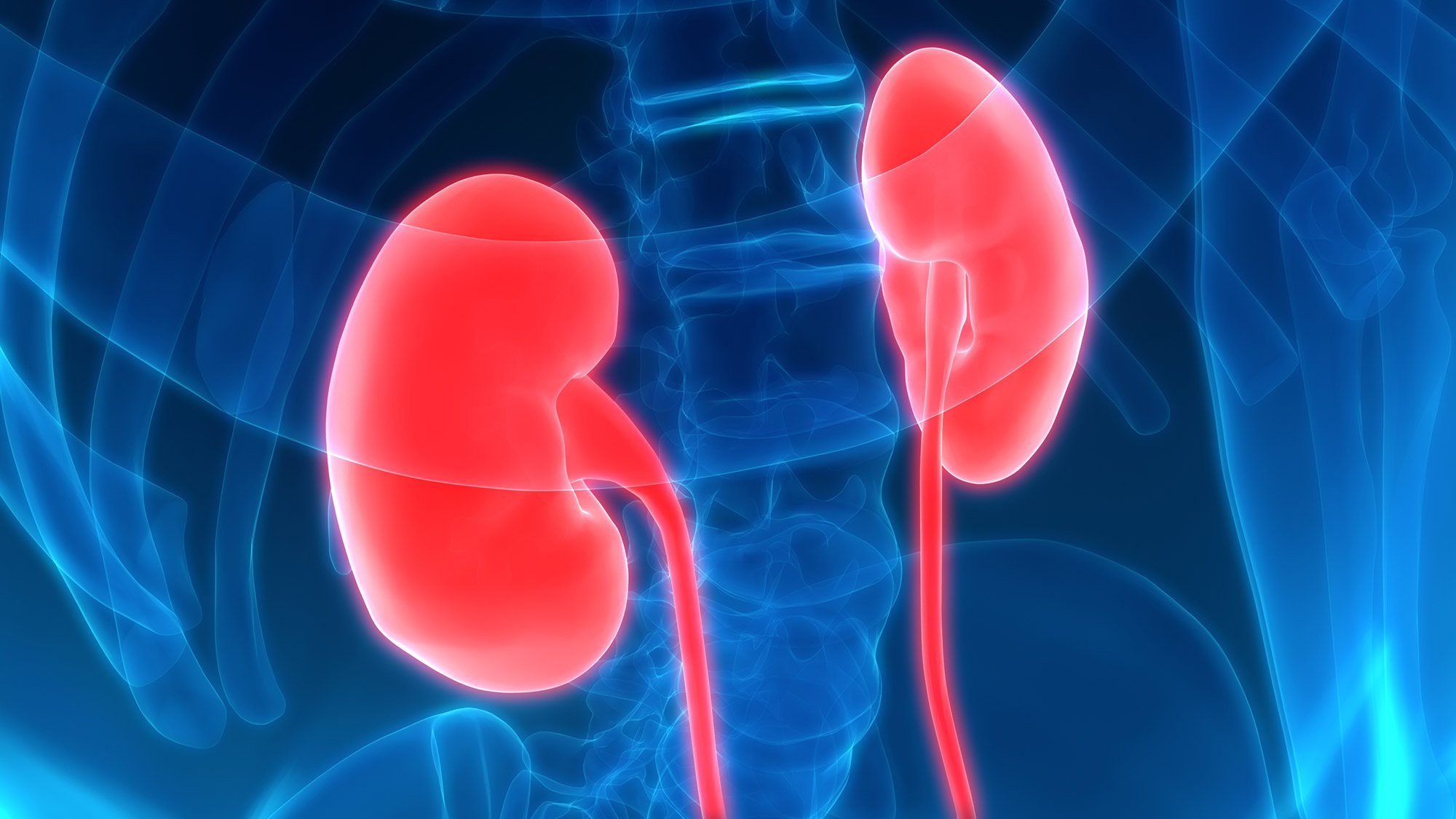 When Should I See a Kidney Specialist?