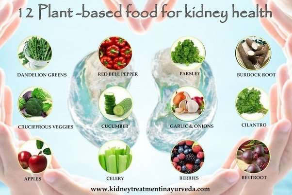 Which food is good for kidney failure patients?