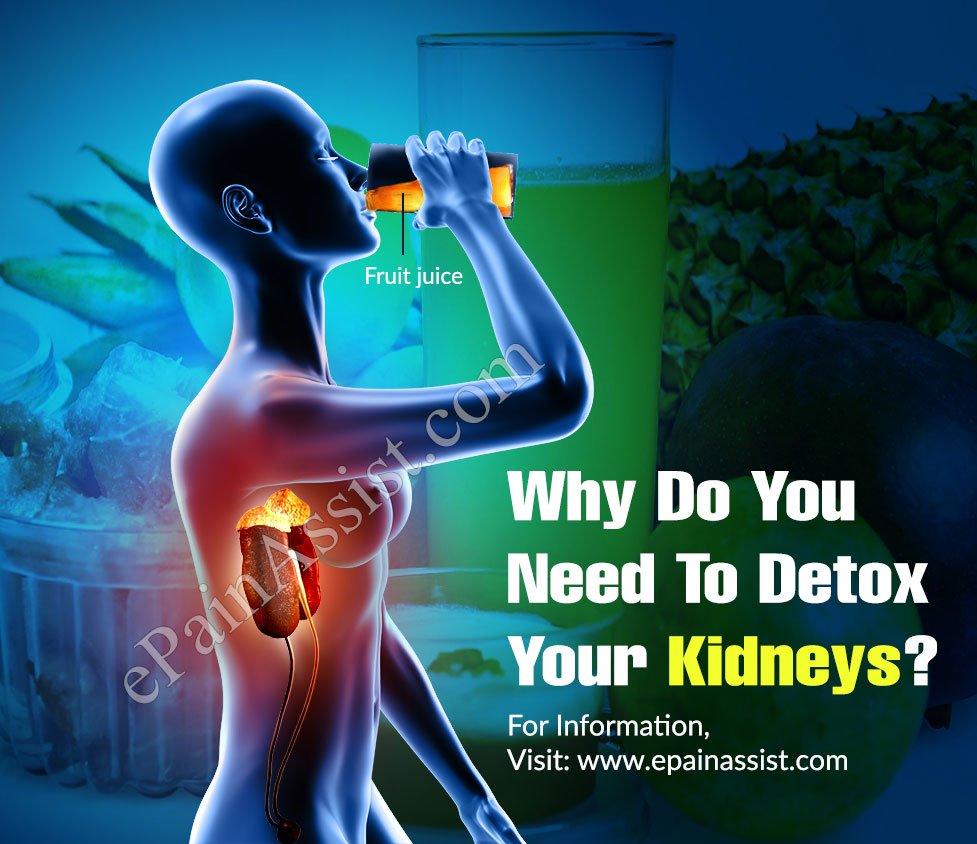 Why Do You Need To Detox Your Kidneys &  How to Detox Your ...