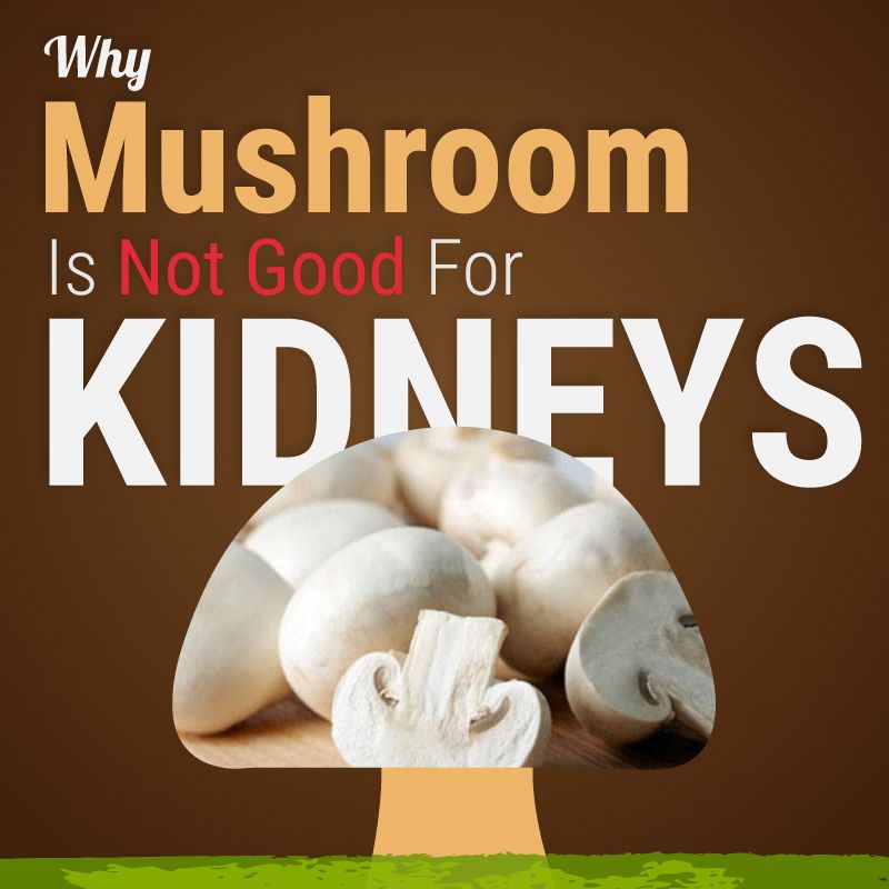 Why Mushroom Is Not Good For Kidneys?à¤à¥?à¤¯à¥à¤ à¤¨à¤¹à¥à¤ à¤à¤¾à¤¨à¤¾ à¤à¤¾à¤¹à¤¿à¤? ...