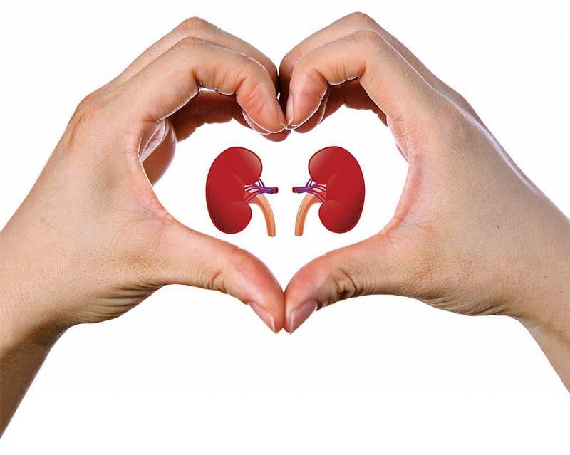 Why You Have To Take Care of Your Kidneys