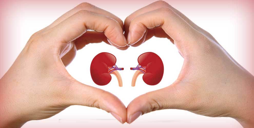 World Kidney Day 2019: Tips you need to follow to keep ...
